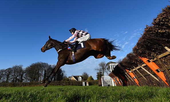 Alan's final selection runs in the 17:05 at Wetherby on Saturday 